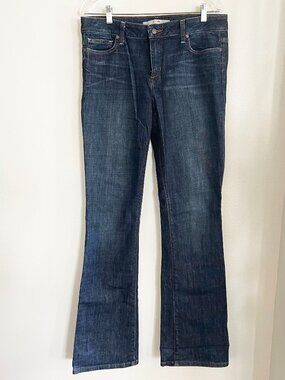Joe’s Jeans Visionaire Flare Jeans | Dark Wash | Size 32